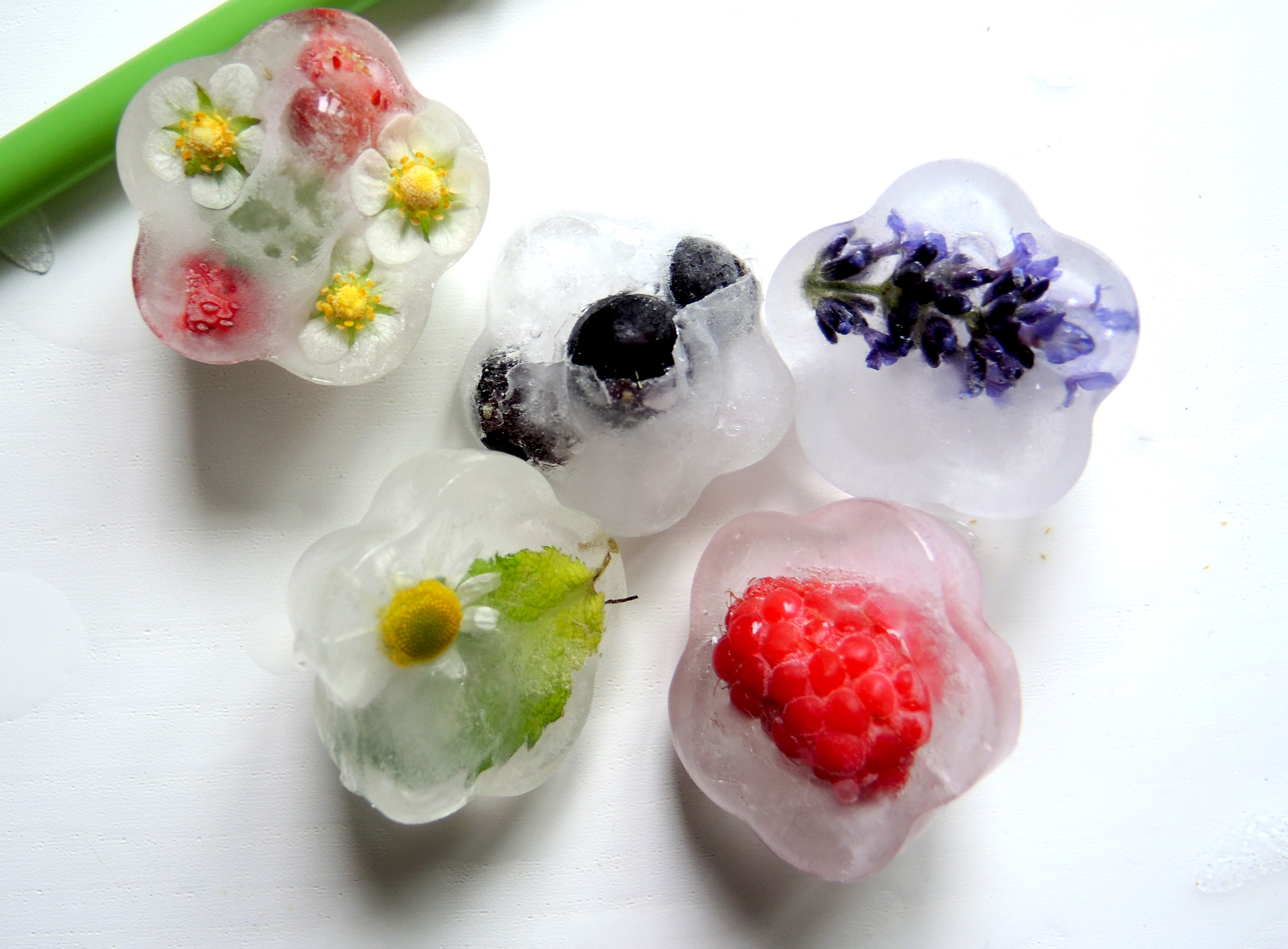 Der Sommer in Eis gepackt – Eiswürfel mit Blumen, Kräutern & Beeren -