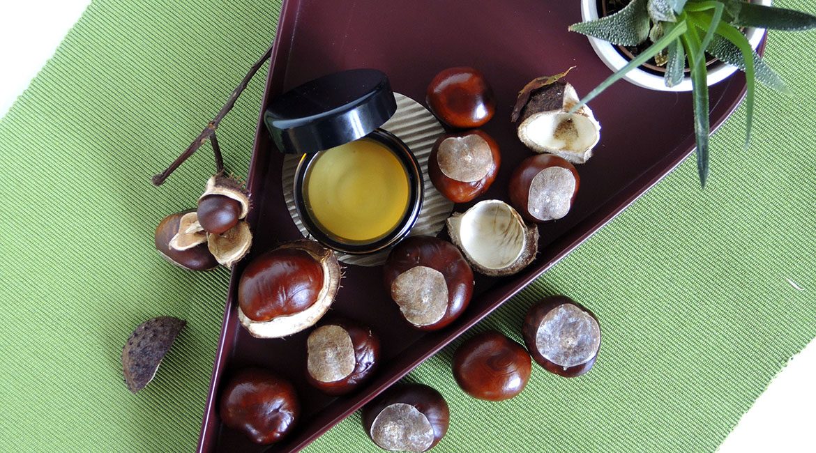 Venencreme aus Kastanien