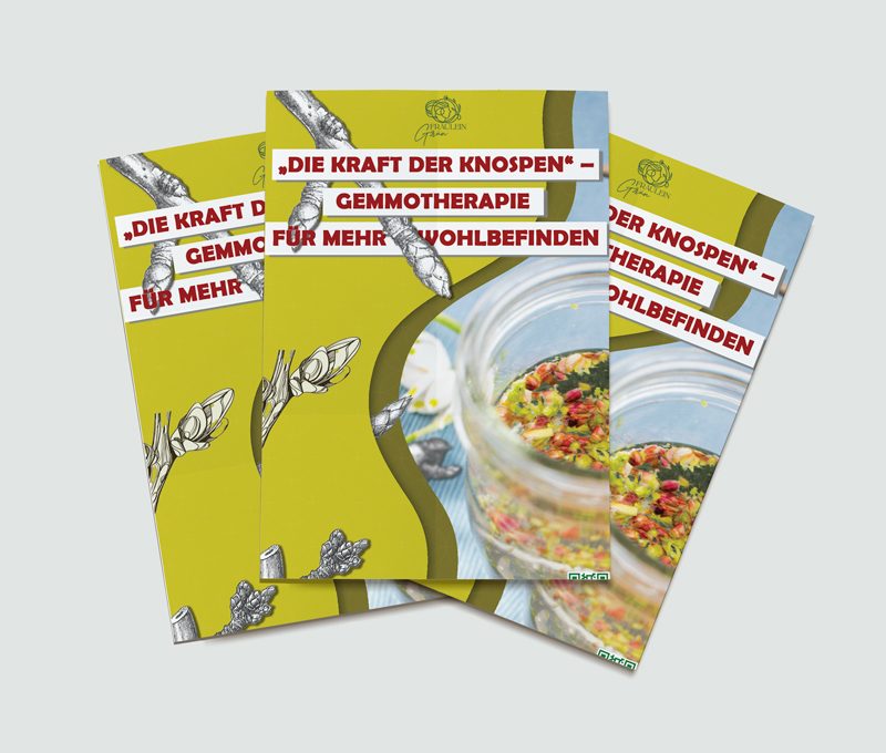 Die Kraft der Knospen - Pocket Guide