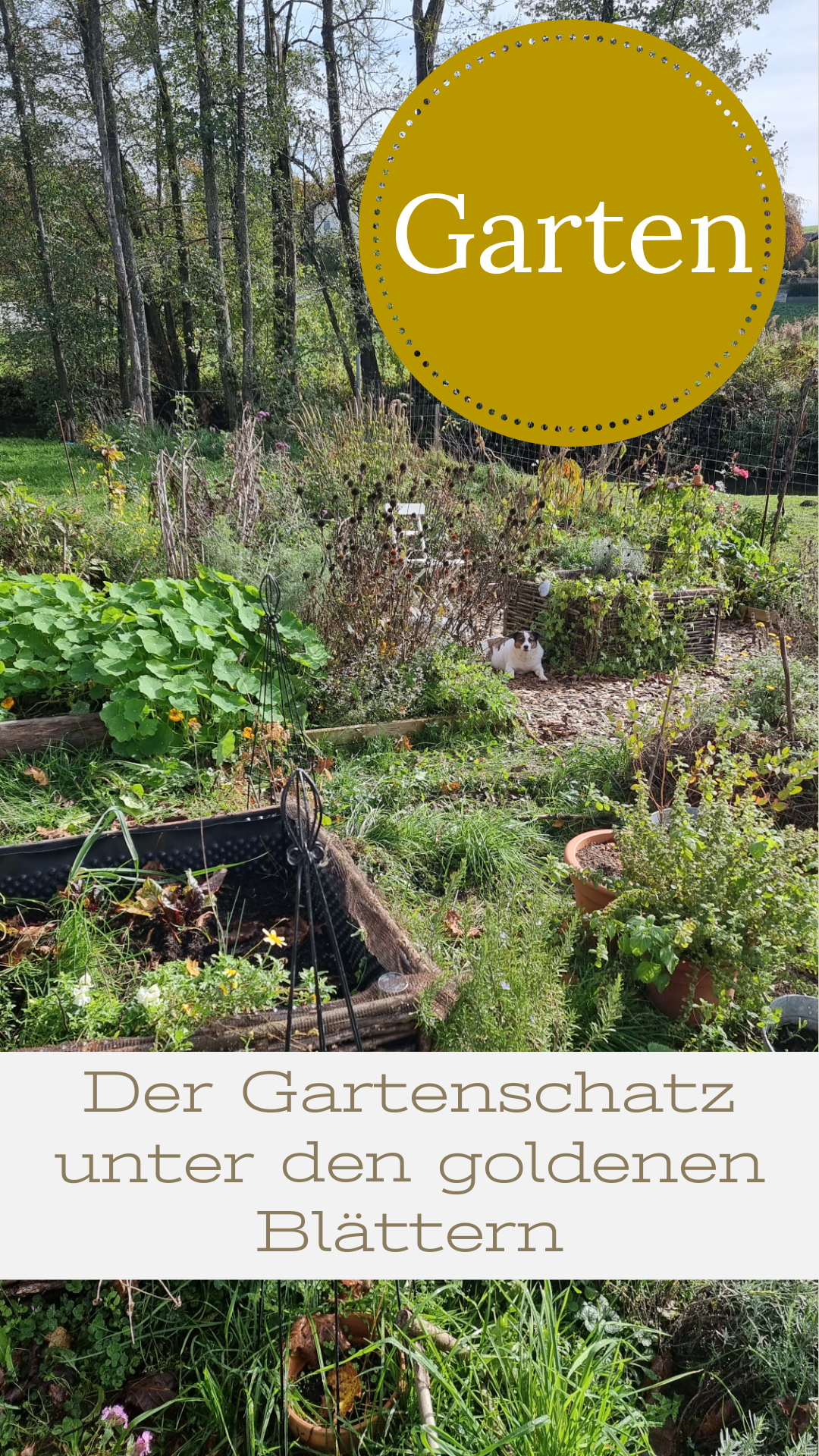 Garten - Herbst Online Kurs