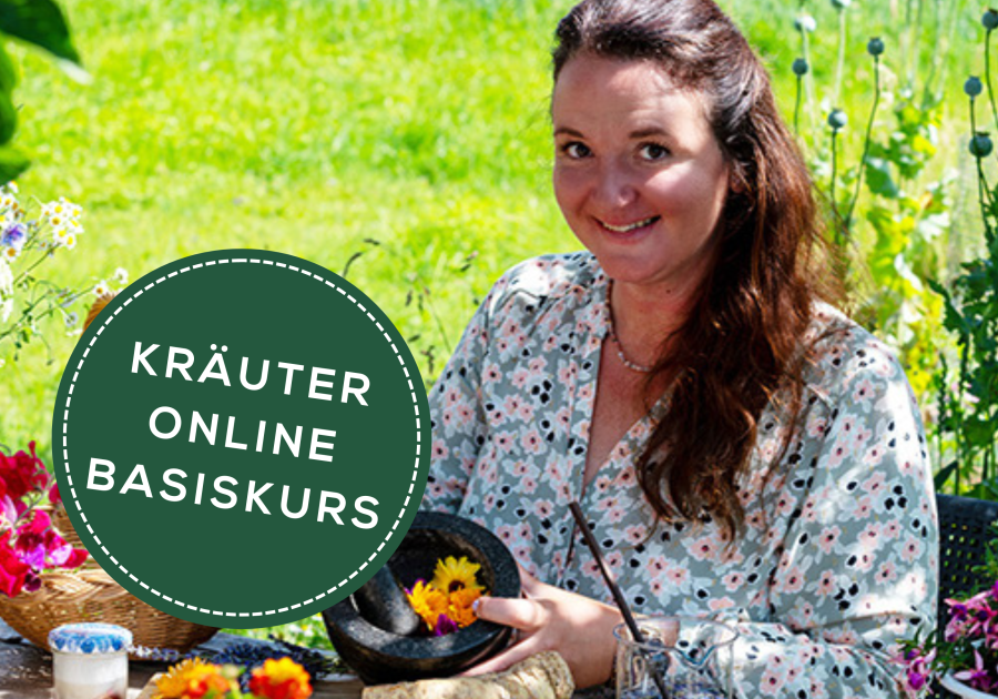 zum Kräuter Online-Basis-Kurs