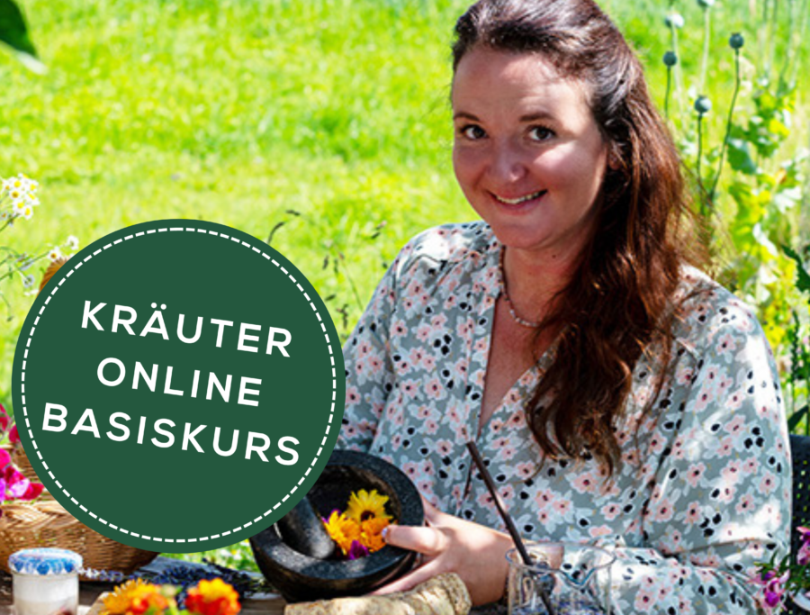 Kräuter Online-Basis-Kurs zum Kräuter Online-Basis-Kurs