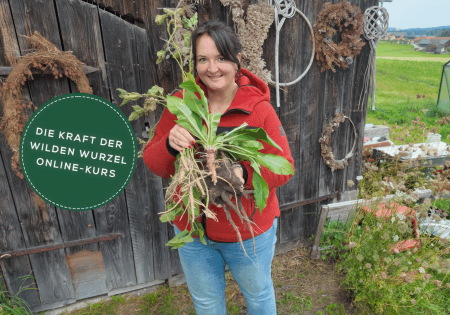Wurzelkurs Web-gigapixel-hq-scale-1_46x